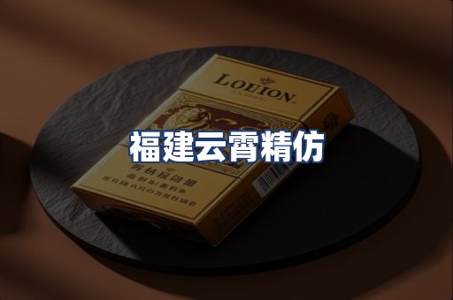 福建云霄精仿